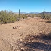 Review photo of Darby Wells Rd BLM Dispersed by Greg L., January 2, 2022