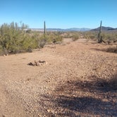 Review photo of Darby Wells Rd BLM Dispersed by Greg L., January 2, 2022