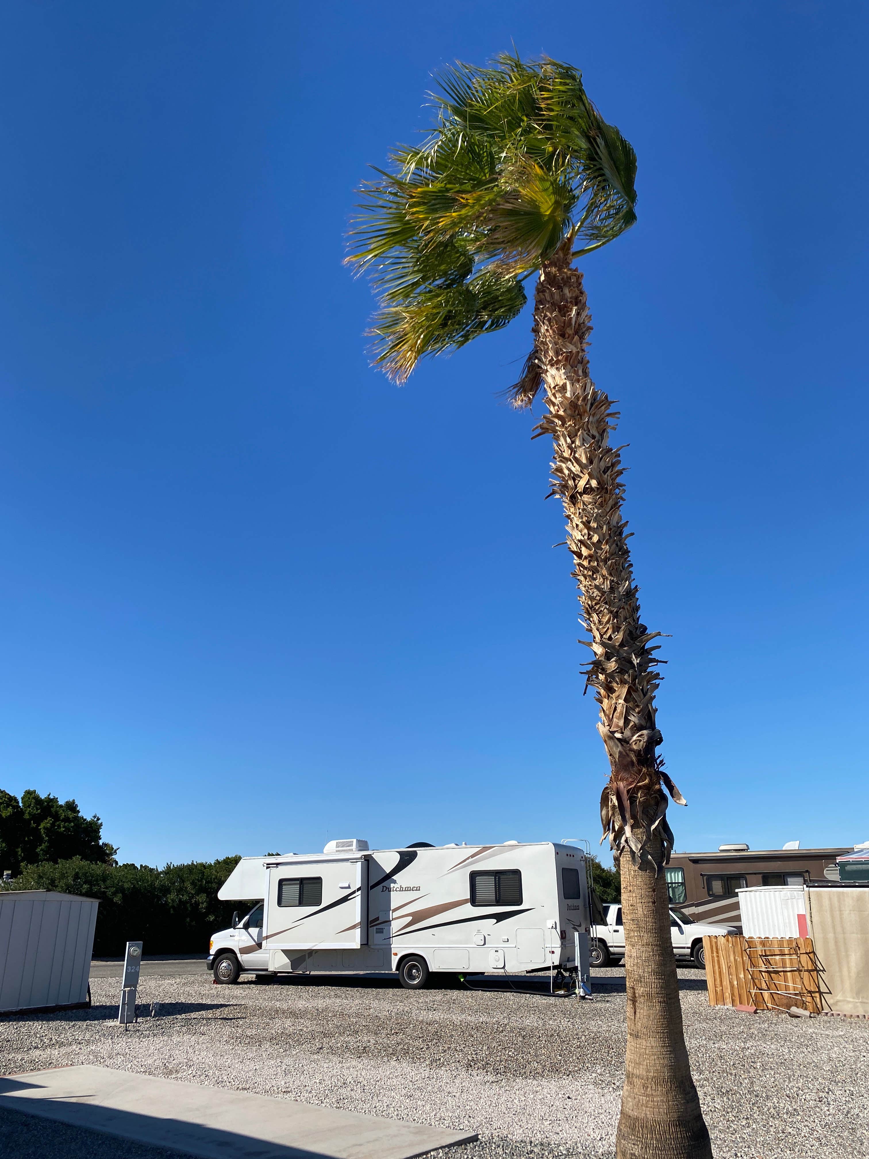 Camping near Old Desert Bull RV Park: Caravan Oasis RV Resort, Yuma, Arizona