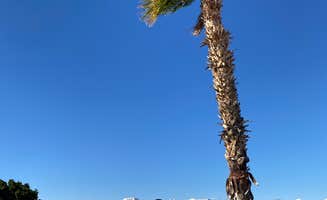 Clint J.'s photo of rv camping at Caravan Oasis RV Resort near Winterhaven, CA