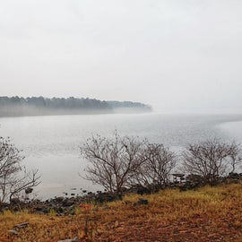 View of lake in fog.