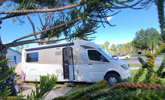 Marletta & Ed M.'s photo of rv camping at Sun -N- Shade RV Resort near Boca Grande, FL
