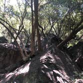 Review photo of San Simeon Creek Campground — Hearst San Simeon State Park by Jeremy F., July 9, 2018