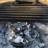 Review photo of San Simeon Creek Campground — Hearst San Simeon State Park by Jeremy F., July 9, 2018