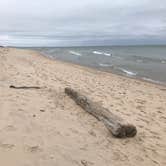 Review photo of Lake Michigan Campground at Muskegon State Park Campground by Kathie M., January 2, 2022