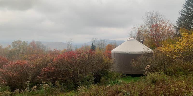 Camper submitted image from The Blueberry Patch