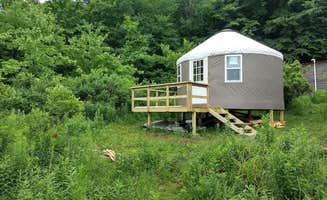 Marty N.'s photo of a cabin at The Blueberry Patch near Woodridge, NY