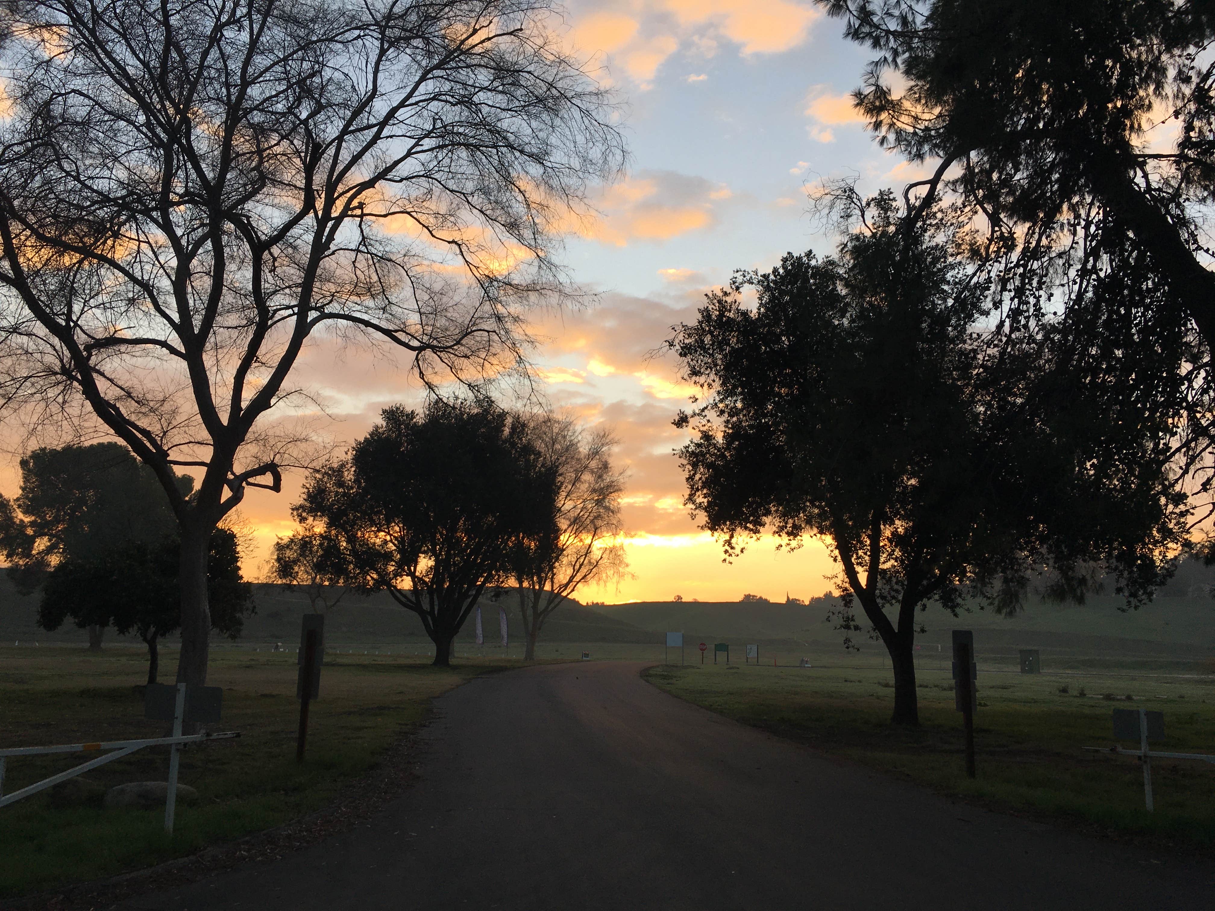 Camper submitted image from Kern River County Park - 4