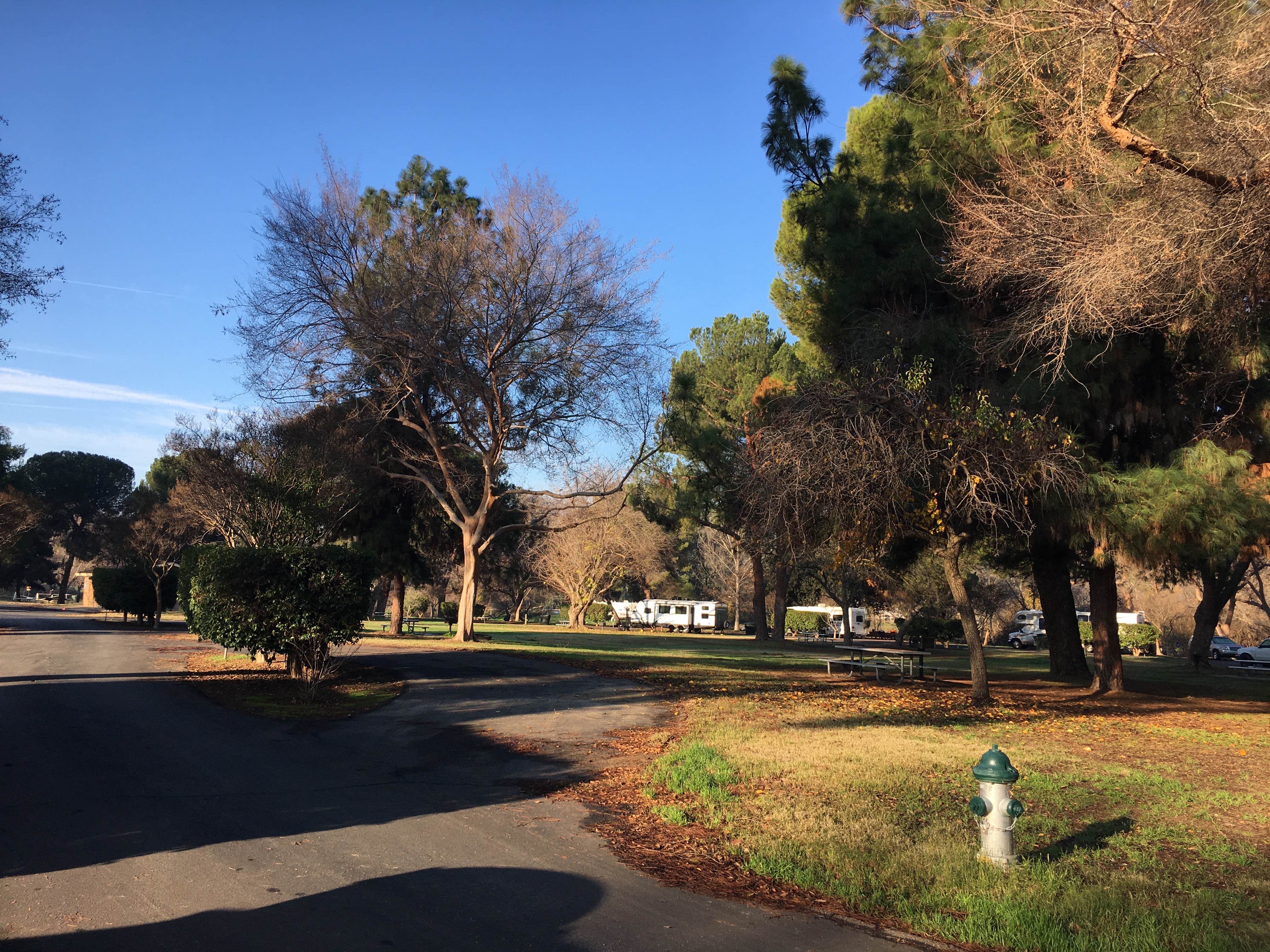 Camper submitted image from Kern River County Park - 2