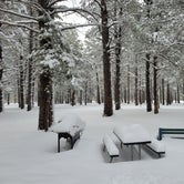 Review photo of Arizona Nordic Village by Julie D., January 3, 2022