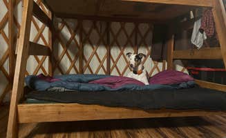 Kaysha R.'s photo of camping with pets at Cape Lookout State Park Campground near Grand Ronde, OR