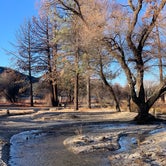 Review photo of Lake Hemet Campground by Megan H., January 3, 2022