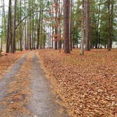 Review photo of Ratcliff Lake Recreation Area by Fred S., January 3, 2022