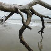 Review photo of Hunting Island State Park Campground by Fain H., July 24, 2016