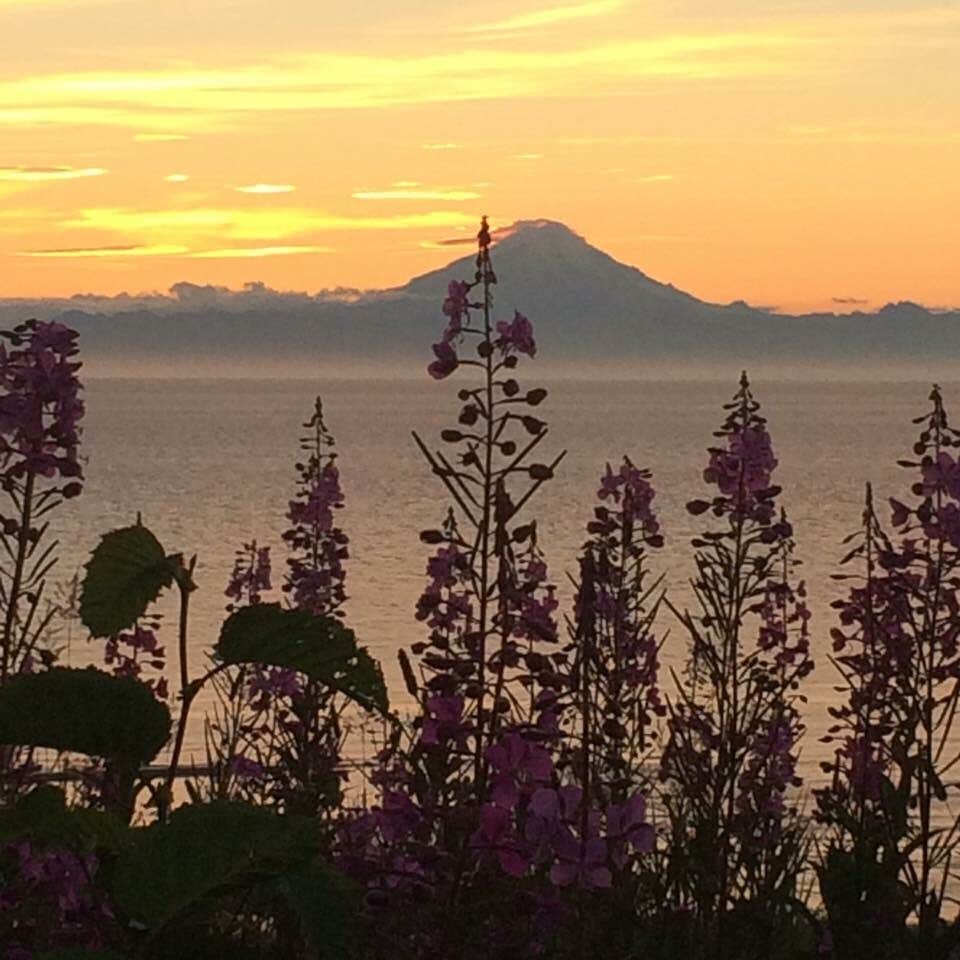 Ninilchik River Campground Camping The Dyrt