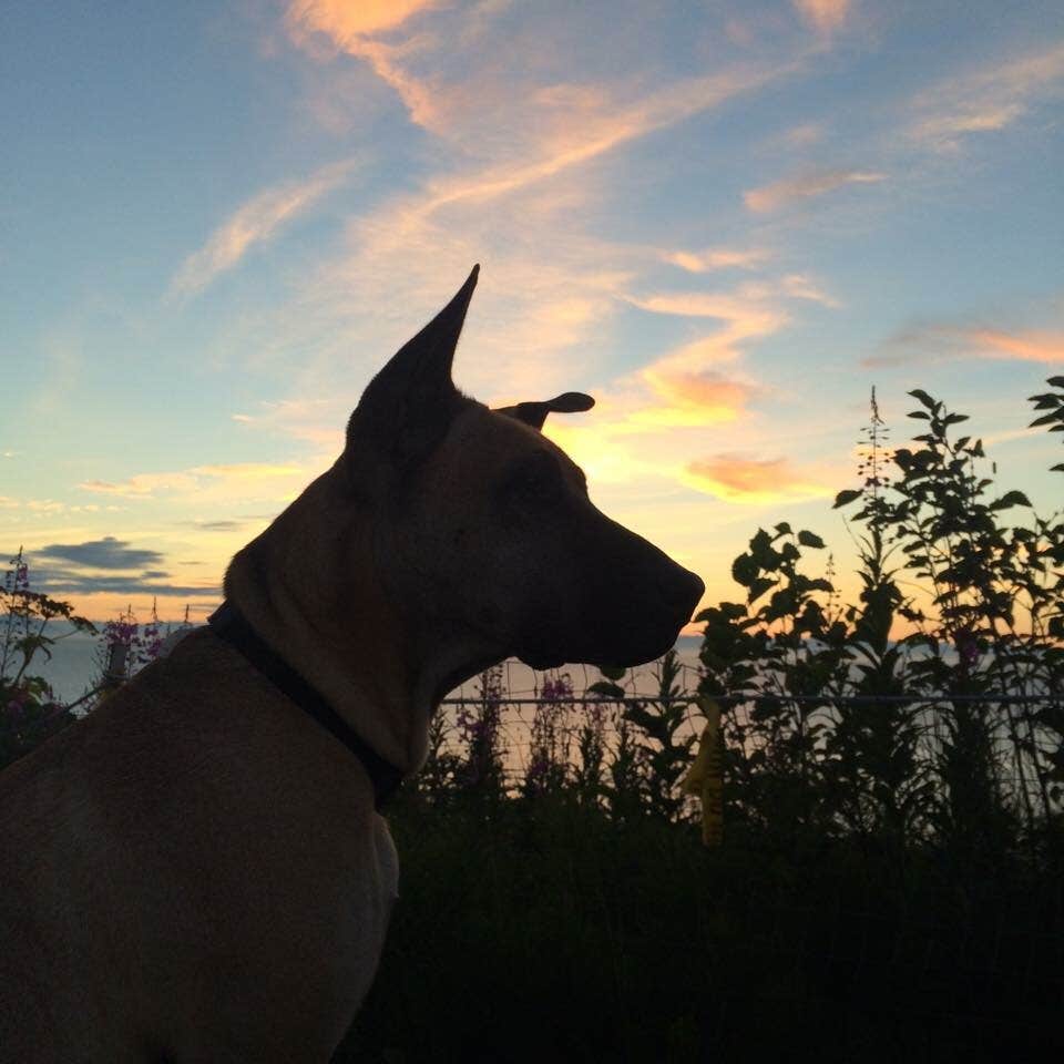 Camper-submitted photo at Ninilchik River Campground near Ninilchik, AK