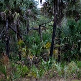 Review photo of Hillsborough River State Park Campground by John B., January 3, 2022