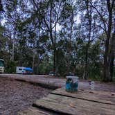 Review photo of Hillsborough River State Park Campground by John B., January 3, 2022