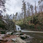 Review photo of Cades Cove Campground by John B., January 3, 2022