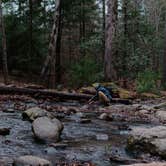 Review photo of Cades Cove Campground by John B., January 3, 2022