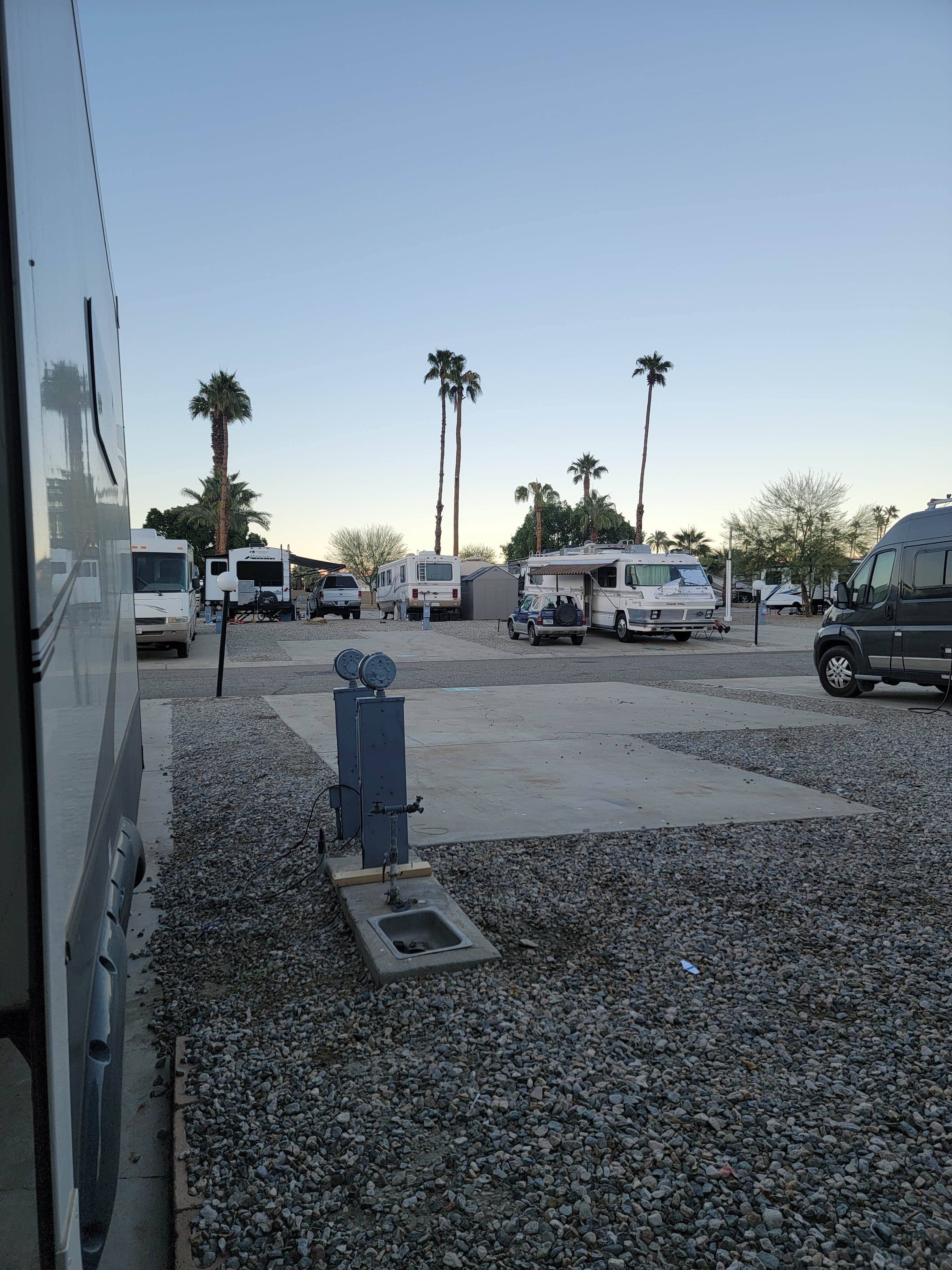 Palm Springs Oasis RV Resort Camping The Dyrt