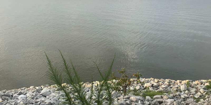 Camper submitted image from Hugh White State Park Campground