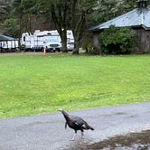Review photo of Indian Creek RV Park by Jenni C., January 3, 2022
