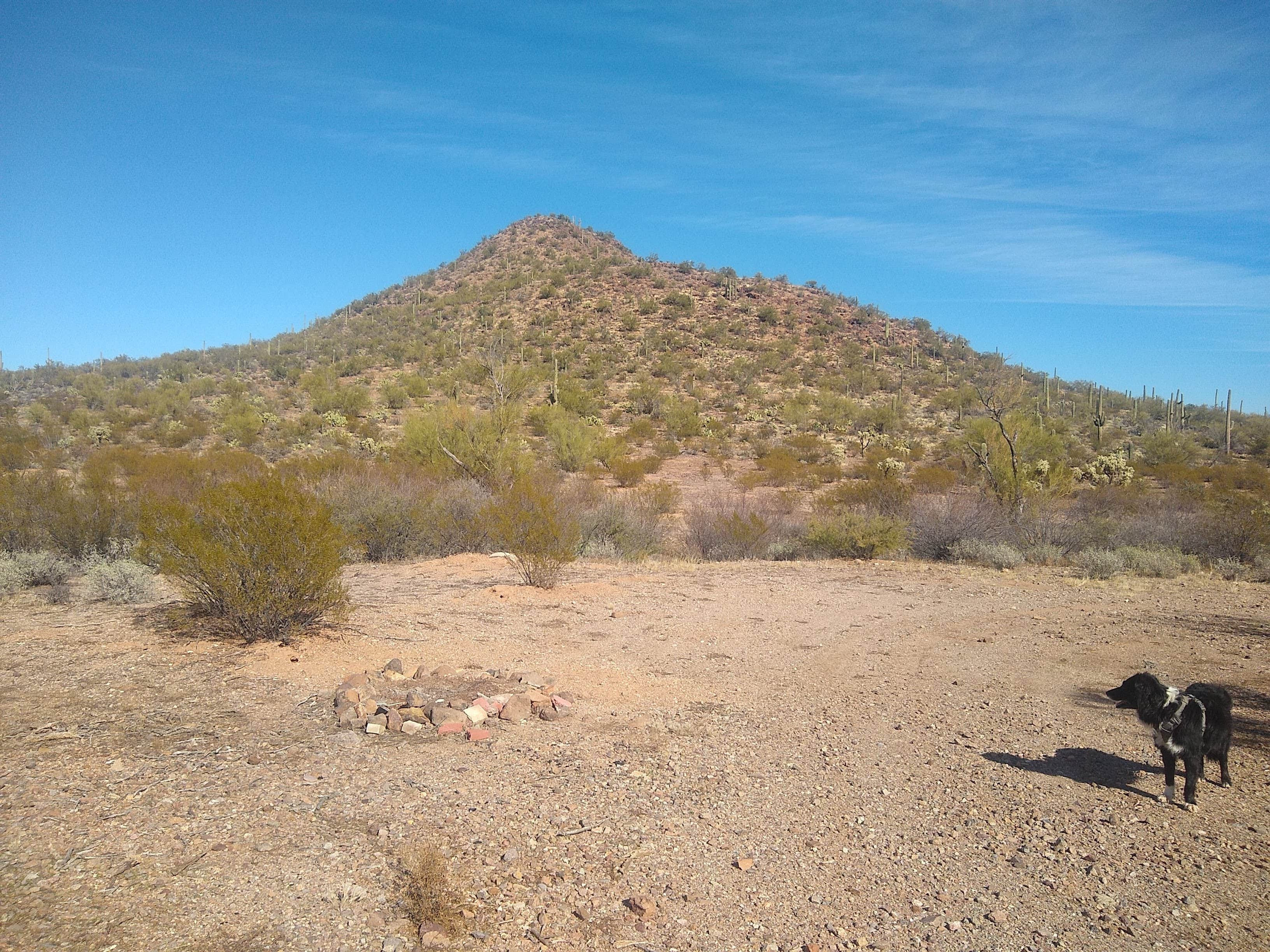 Camper-submitted photo at BLM Ironwood Monument - 2555 ft Knob Overlander 4x4 Dispersed Camping area near Topawa, AZ
