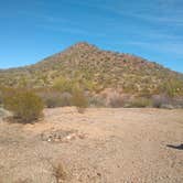 Review photo of BLM Ironwood Monument - 2555 ft Knob Overlander 4x4 Dispersed Camping area by Greg L., January 3, 2022