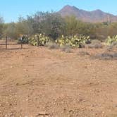 Review photo of BLM Ironwood Monument - 2555 ft Knob Overlander 4x4 Dispersed Camping area by Greg L., January 3, 2022