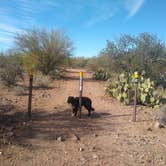 Review photo of BLM Ironwood Monument - 2555 ft Knob Overlander 4x4 Dispersed Camping area by Greg L., January 3, 2022