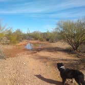 Review photo of BLM Ironwood Monument - 2555 ft Knob Overlander 4x4 Dispersed Camping area by Greg L., January 3, 2022