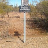 Review photo of BLM Ironwood Monument - 2555 ft Knob Overlander 4x4 Dispersed Camping area by Greg L., January 3, 2022