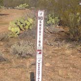 Review photo of BLM Ironwood Monument - 2555 ft Knob Overlander 4x4 Dispersed Camping area by Greg L., January 3, 2022