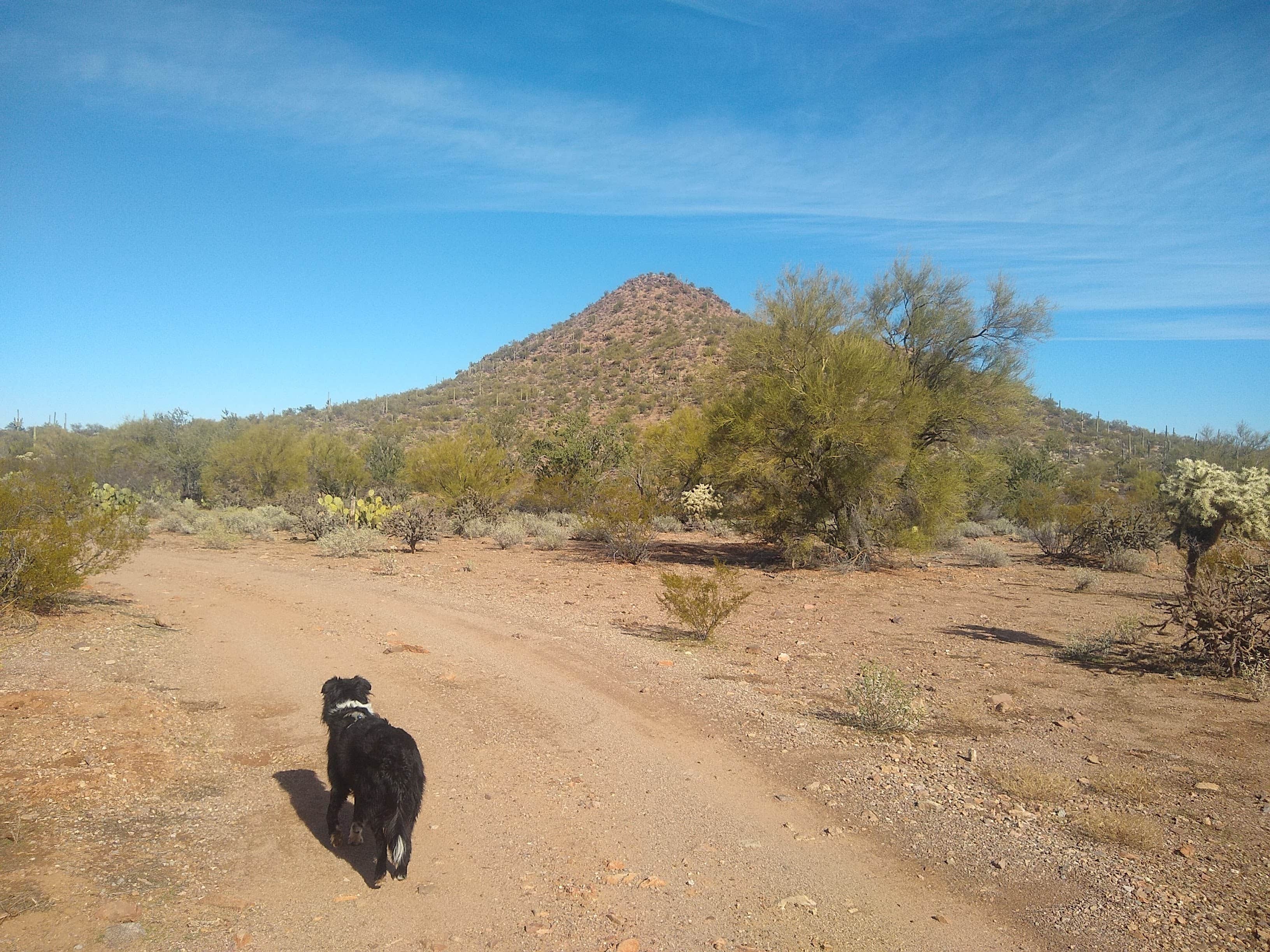 Camper-submitted photo at BLM Ironwood Monument - 2555 ft Knob Overlander 4x4 Dispersed Camping area near Topawa, AZ