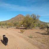 Review photo of BLM Ironwood Monument - 2555 ft Knob Overlander 4x4 Dispersed Camping area by Greg L., January 3, 2022