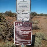 Review photo of BLM Ironwood Monument - 2555 ft Knob Overlander 4x4 Dispersed Camping area by Greg L., January 3, 2022