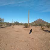 Review photo of BLM Ironwood Monument - 2555 ft Knob Overlander 4x4 Dispersed Camping area by Greg L., January 3, 2022