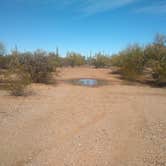 Review photo of BLM Ironwood Monument - 2555 ft Knob Overlander 4x4 Dispersed Camping area by Greg L., January 3, 2022