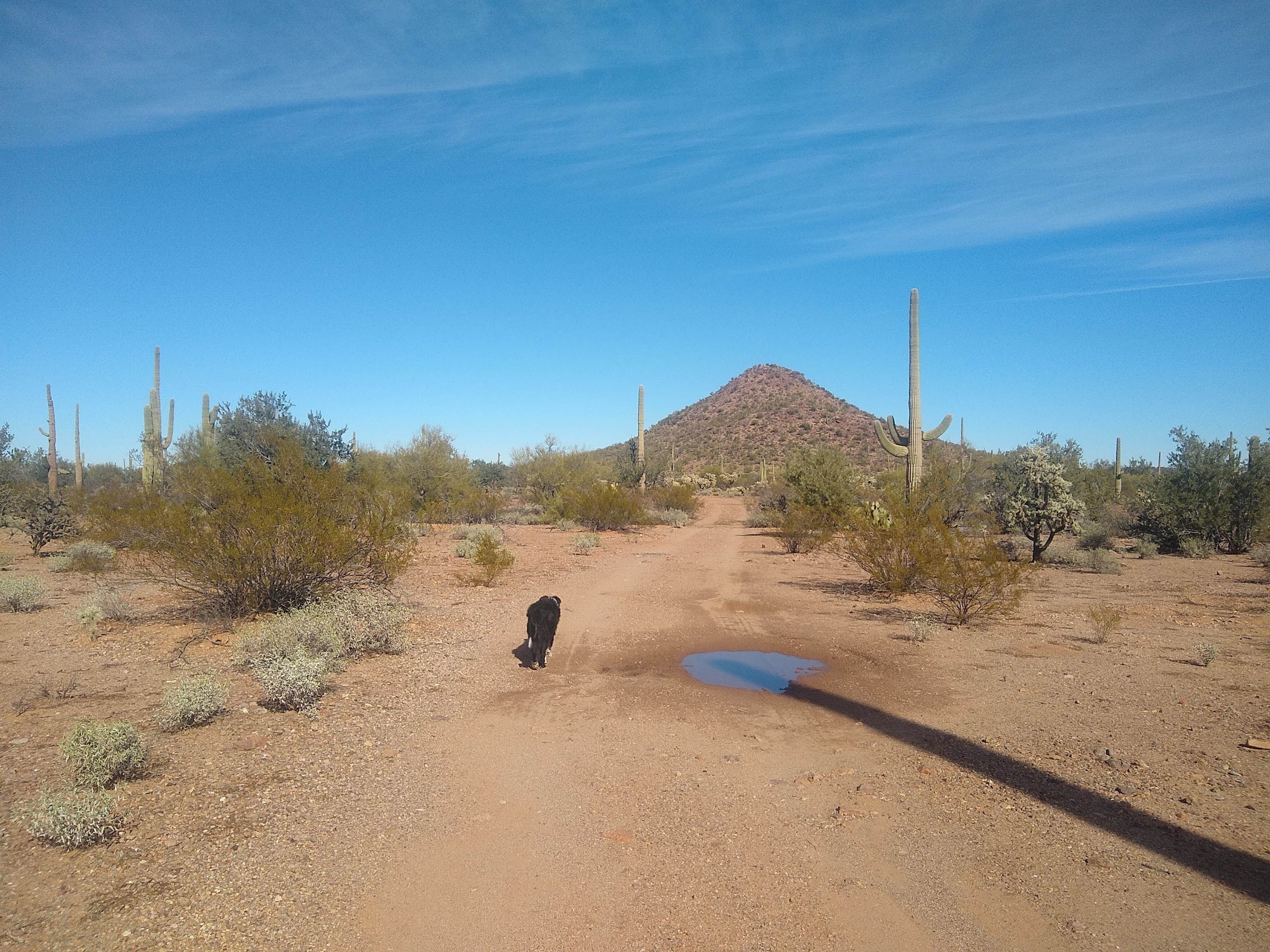 Camper-submitted photo at BLM Ironwood Monument - 2555 ft Knob Overlander 4x4 Dispersed Camping area near Topawa, AZ