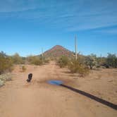 Review photo of BLM Ironwood Monument - 2555 ft Knob Overlander 4x4 Dispersed Camping area by Greg L., January 3, 2022