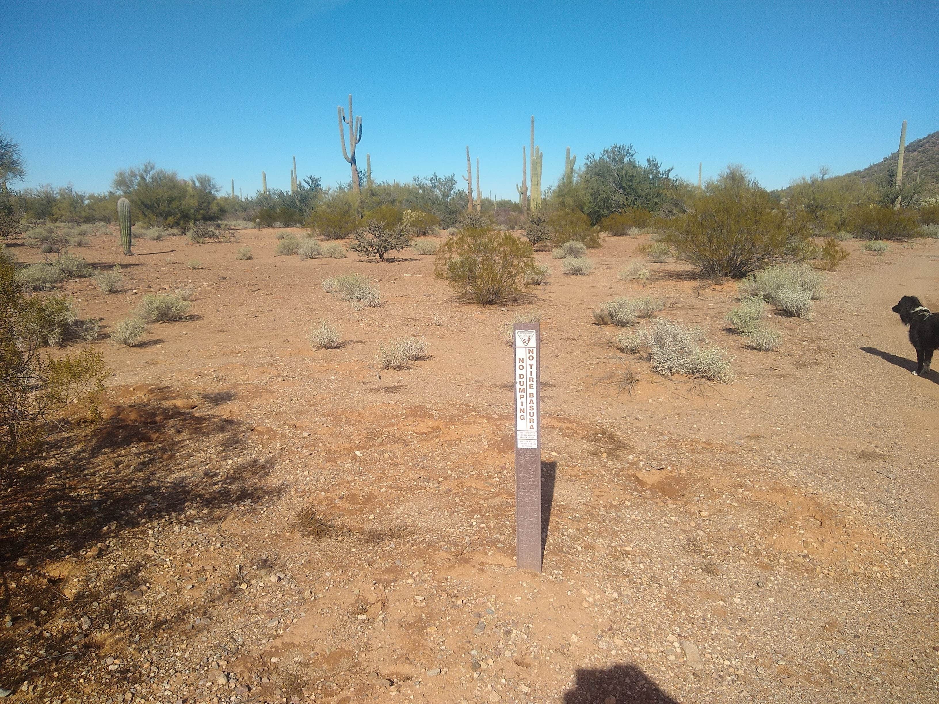 Camping near Lees Ranch RV Park: BLM Ironwood Monument - 2555 ft Knob Overlander 4x4 Dispersed Camping area, Marana, Arizona