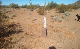 Camping near Garden of Peden: BLM Ironwood Monument - 2555 ft Knob Overlander 4x4 Dispersed Camping area, Marana, Arizona