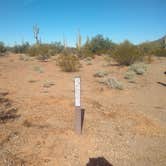 Review photo of BLM Ironwood Monument - 2555 ft Knob Overlander 4x4 Dispersed Camping area by Greg L., January 3, 2022