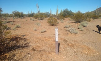 BLM Ironwood Monument - 2555 ft Knob Overlander 4x4 Dispersed Camping area