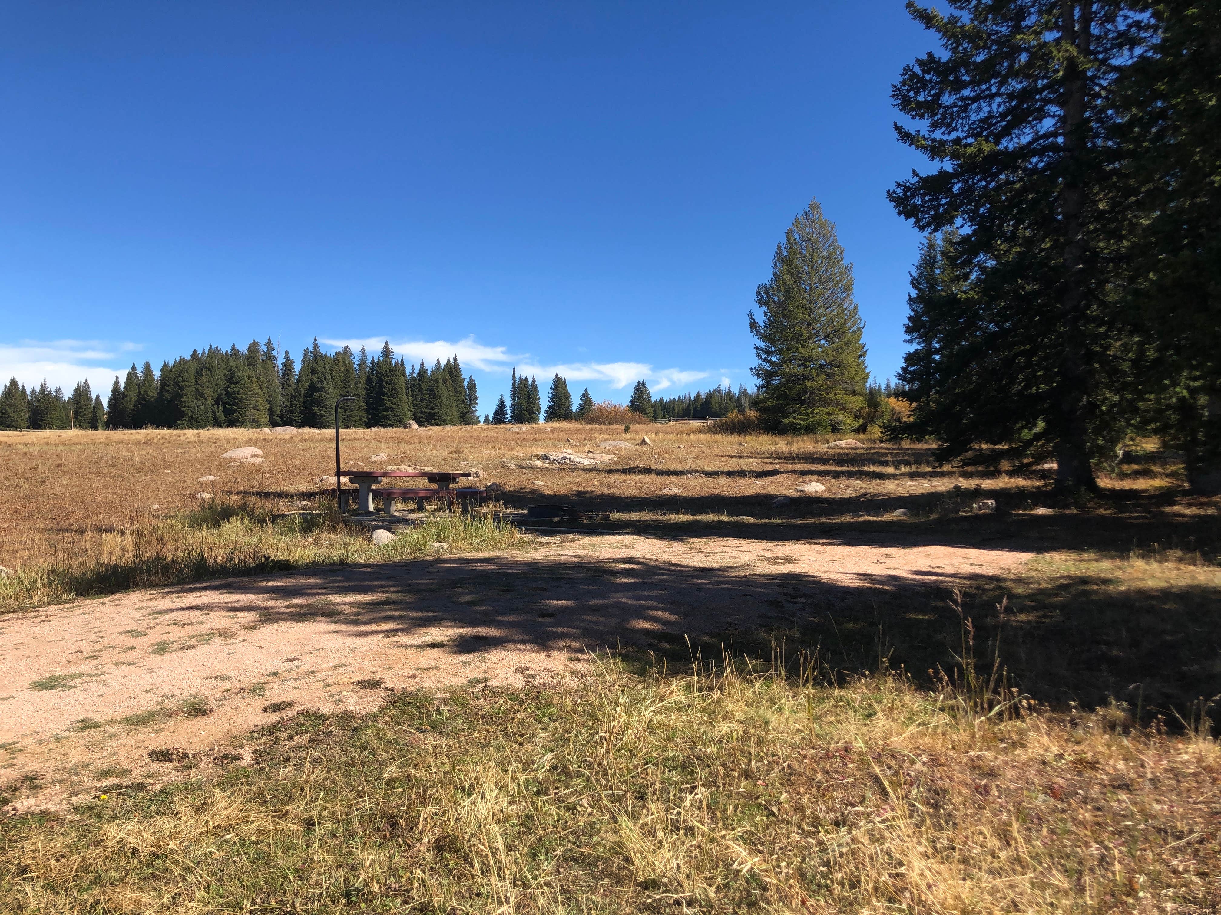Camper-submitted photo at Bald Mountain Campground near Shell, WY