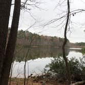 Review photo of Sandy Bottom Nature Park by N I., January 1, 2022