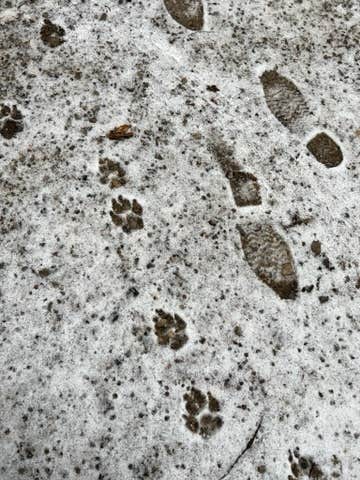 Camper-submitted photo at Portage Lake Campground — Waterloo Recreation Area near Pleasant Lake, MI