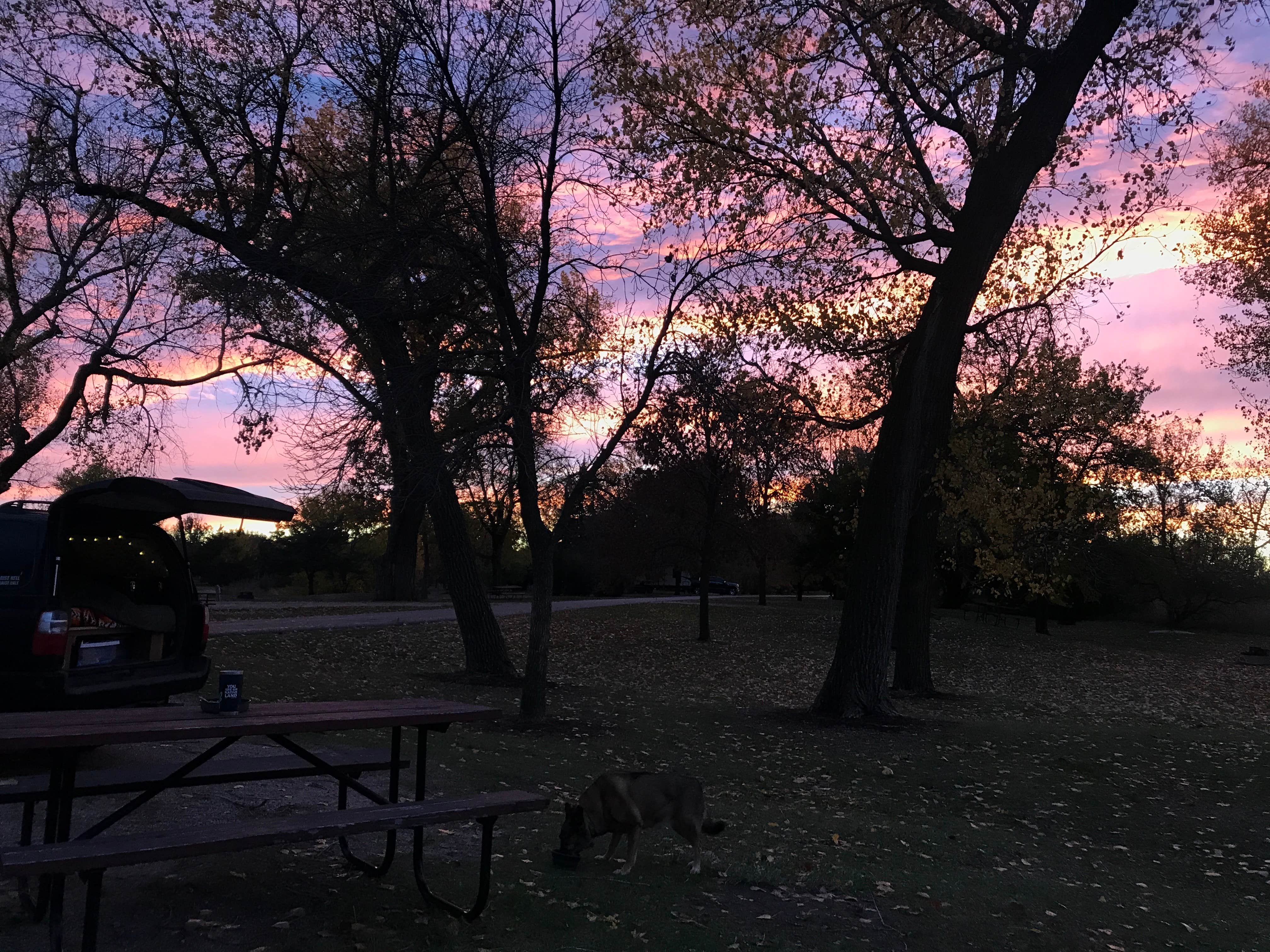 hannah C.'s photo of camping with pets at Fort Kearny State Recreation Area near Elwood, NE