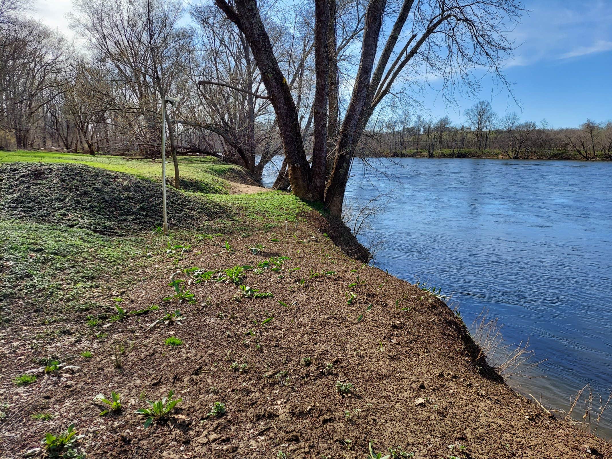 Camper-submitted photo at Warren Ferry Landing near Goochland, VA
